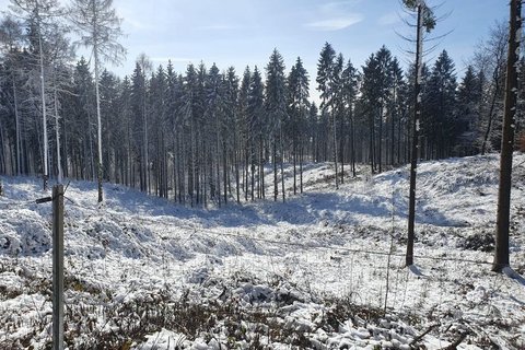 Winterstimmung mit Neuschnee im März