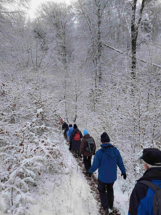 Schmaler Wanderweg im Winterwald