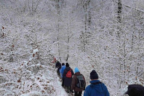 Schmaler Wanderweg im Winterwald